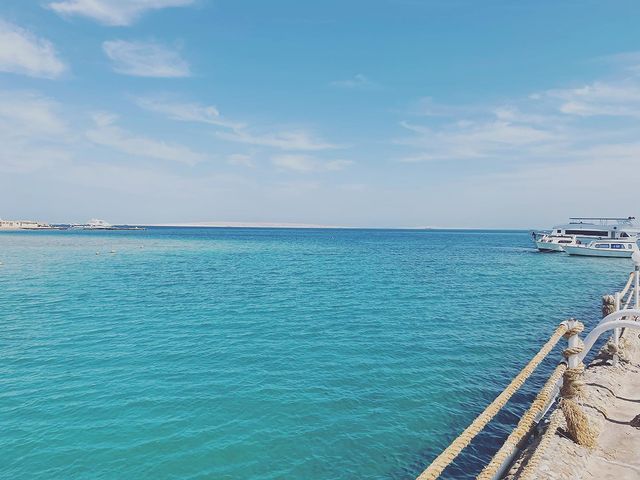 dmitriisamoilov в LOOKY. . null