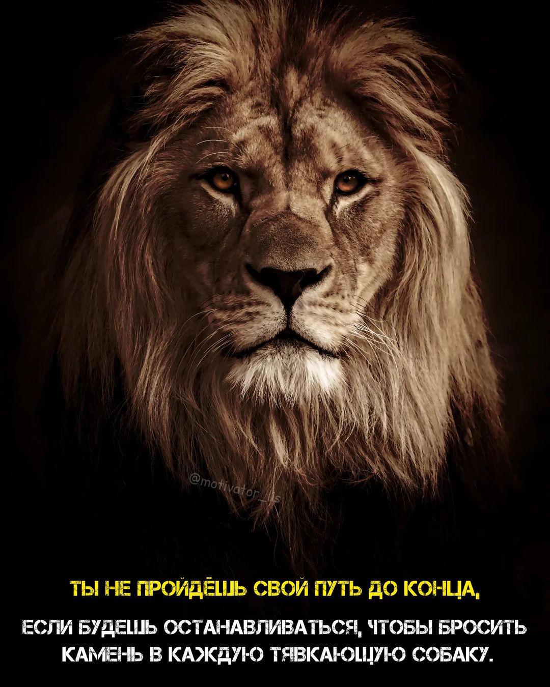 motivator_lis в LOOKY — Становись лучше вместе с нами 🔥🔥🔥

@motivator_lis 

•
•
@