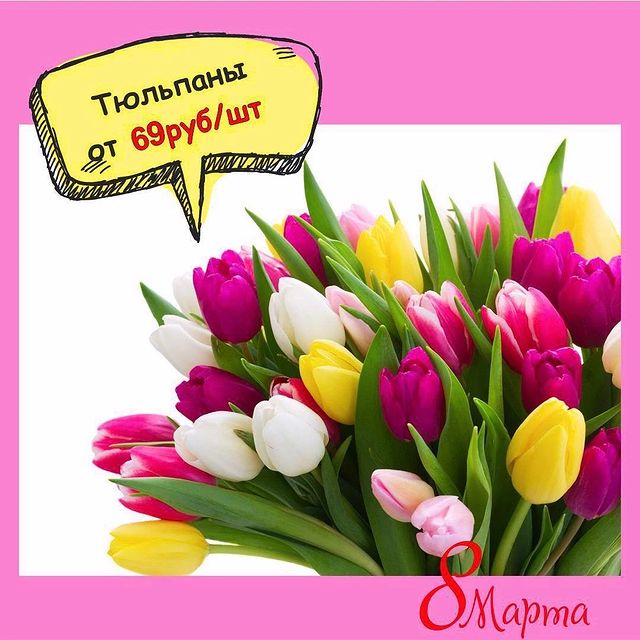 pinktulip_lipetsk в LOOKY. #flowers,#flower,#flowerstagram,#flowersofinstagram,#flowerslovers,#flowerstyles_gf,#instaflower,#beautiful,#букеты,#цветыбезповода,#цветыназаказ,#цветылипецк,#тюльпанылипецк,#цветына8марта,#цветыдоставка,#lipetsk,#tulips,#тюльпанына8марта,#цветысдоставкой,#подарки. Мы, уже начали прини...