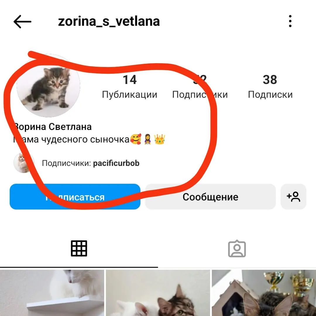 gardemarincat в LOOKY — Внимание, мошенники! 
Этот аккаунт крадёт мои фото и тексты.