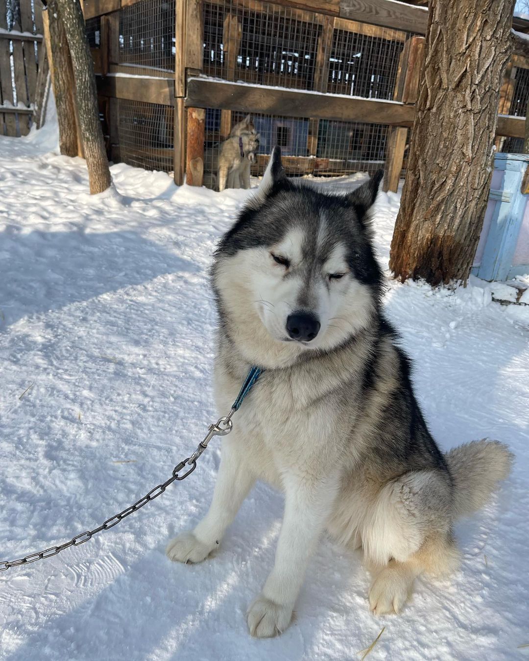 Ллоид