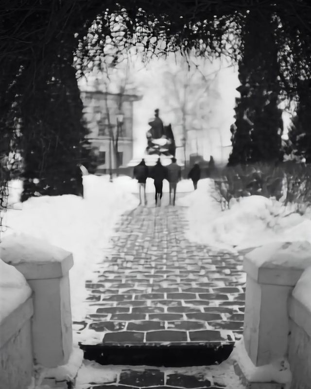 artemyklein в LOOKY. #точкацвета,#ilford,#ilfordhp5. #точкацвета #ilford ...