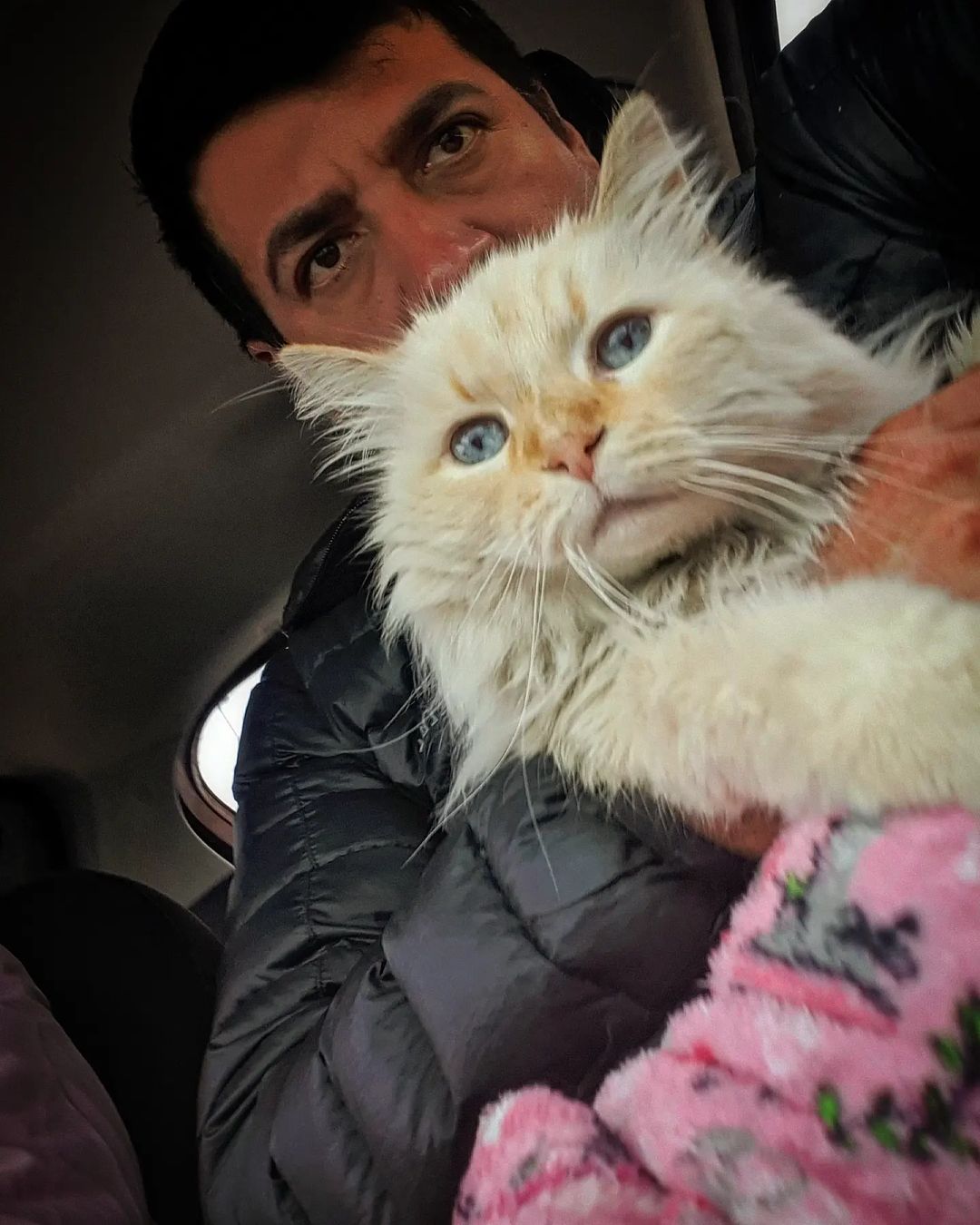 rogecan0 в LOOKY — De camino por la escénica con brandicita bebé.