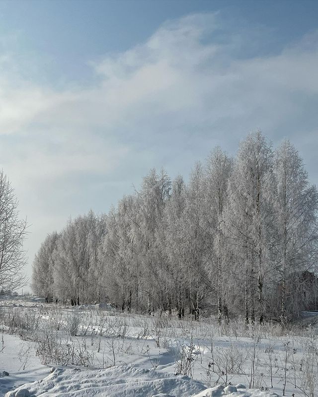 makovichlife в LOOKY. . Прогулка по зимнему ...