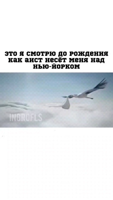 М3 в LOOKY. #Дагестан,#шутка,#Кавказ,#Москва,#россия. #Дагестан #шутка #Ка...