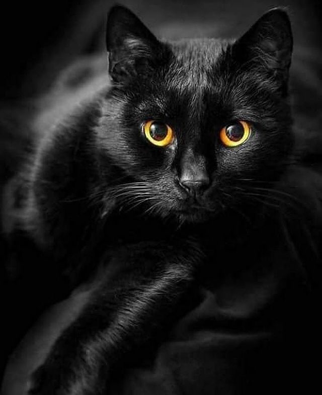 narezalas_star в LOOKY. . ВЕНЕРА

Много объясн...