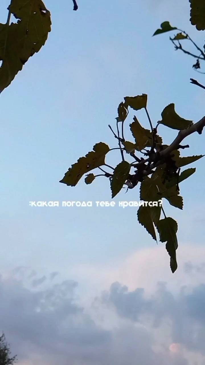 abdurakhimova в LOOKY. . Дождь, который падае...