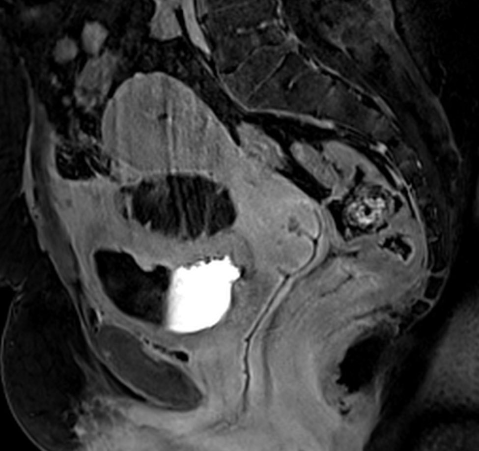 russianradiology в LOOKY — фото 3