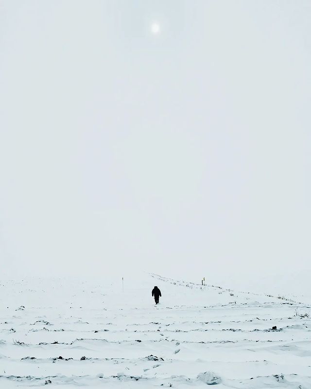 artemyklein в LOOKY. #zflip4,#mobilephotography. #zflip4 #mobilephoto...