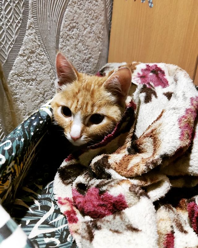 gg_arishka89 в LOOKY. . В сентябре 2022 Я на...