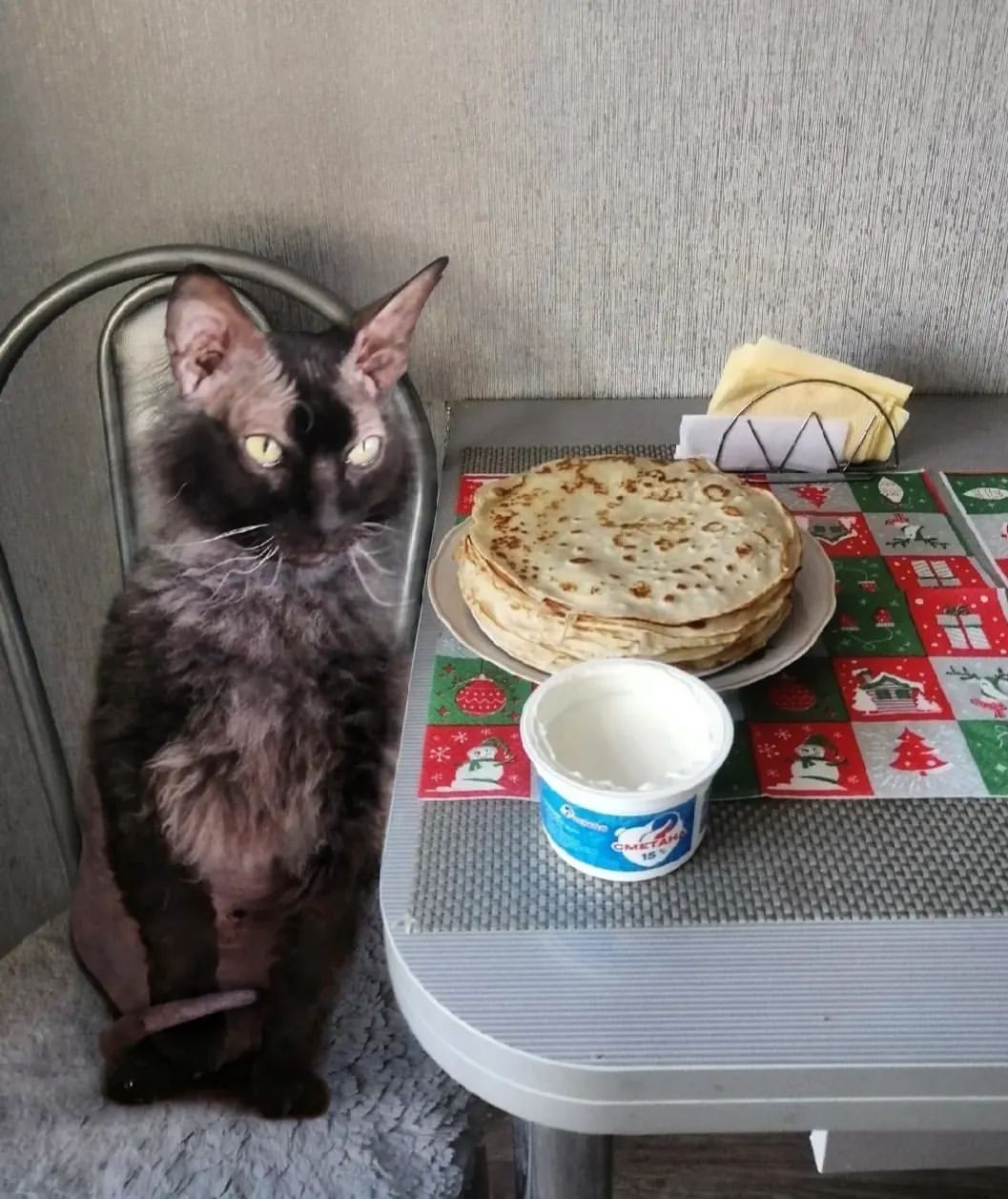 iakov45637 в LOOKY — Доброе утро друзья ❤️❤️❤️🤗
Вот и мои блинчикофф напеки🥞😋,
