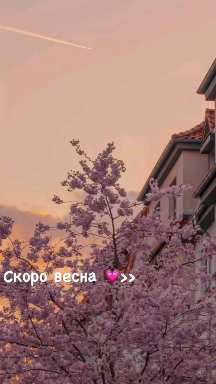 mini._bell в LOOKY. #май. #май