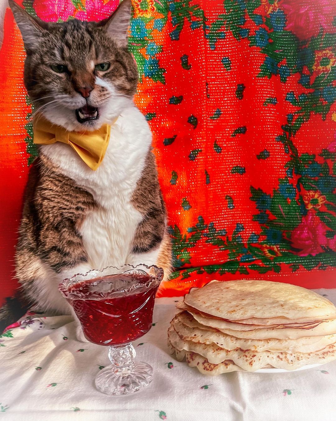 venya.cat в LOOKY — фото 3