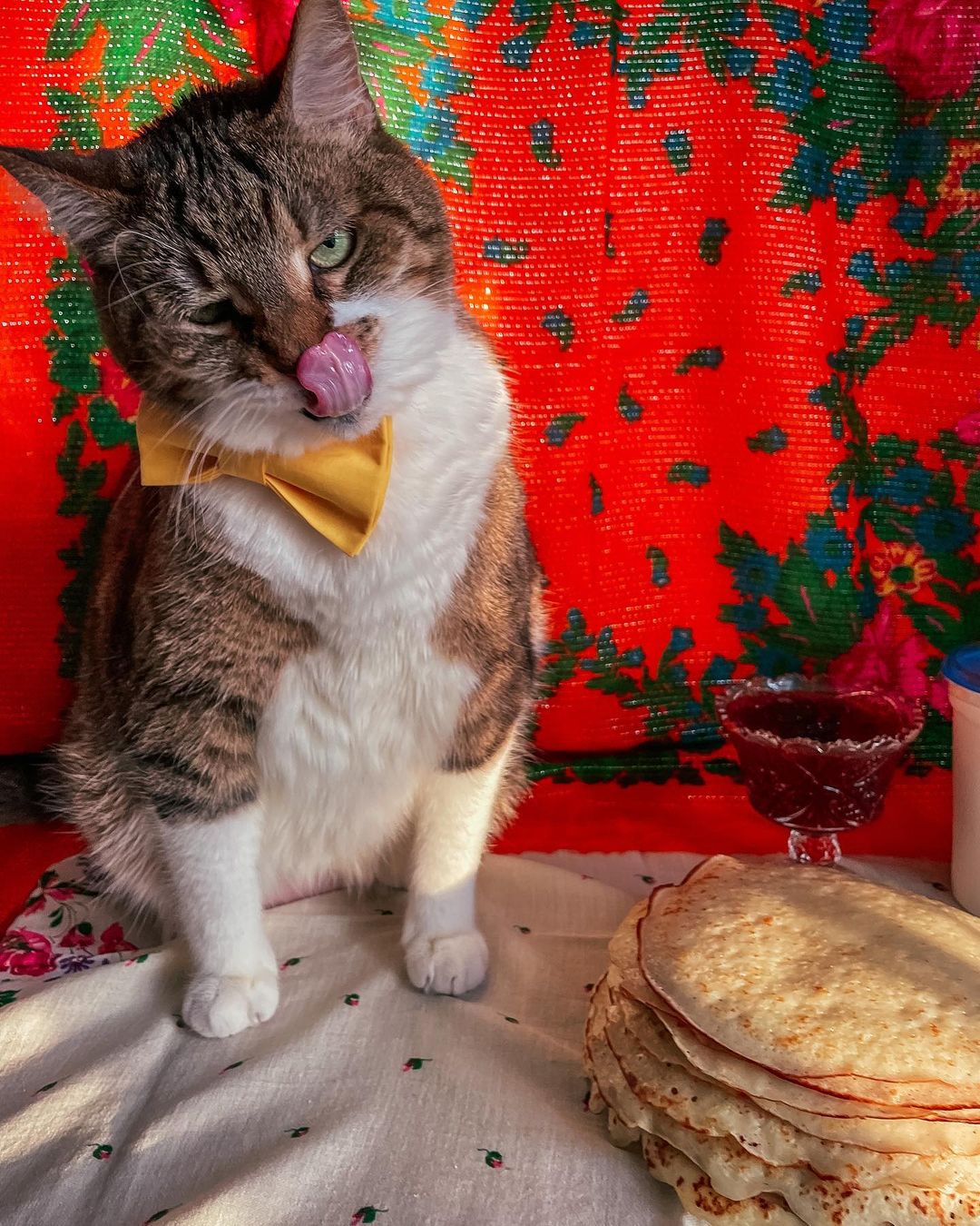 venya.cat в LOOKY — фото 6