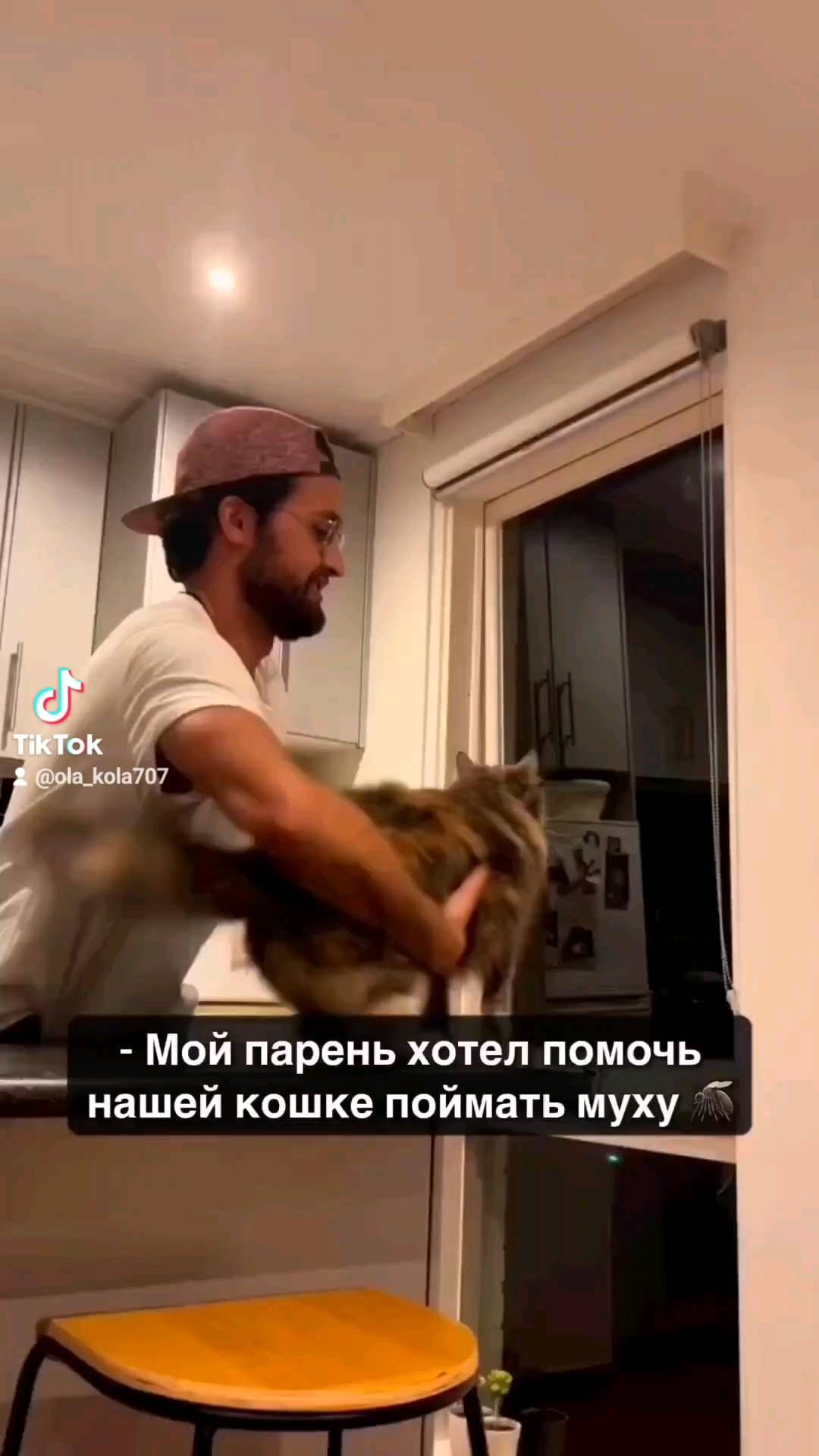 ola_kola707 в LOOKY. #pet,#cat,#smile,#catlover,#cute,#funny,#funniestvideos,#catsoftiktok,#cat,#кот,#котыприколы,#смешноевидео,#хочуврек. #pet #cat #smile #ca...