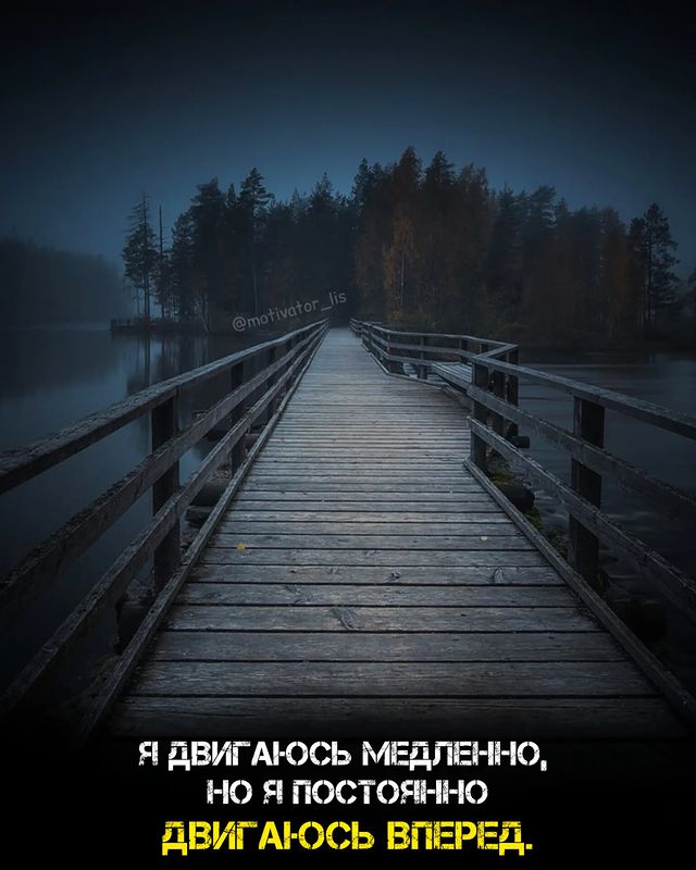 motivator_lis в LOOKY. #мотивация,#мотиватор,#мотивашка,#лис,#мотивациялис,#улучшениесебя,#дисциплина,#книги,#цитаты,#цитатыдня,#несдавайся,#твойпуть,#успех,#саморазвитие,#афоризмы,#линкольн. Никогда не останавли...