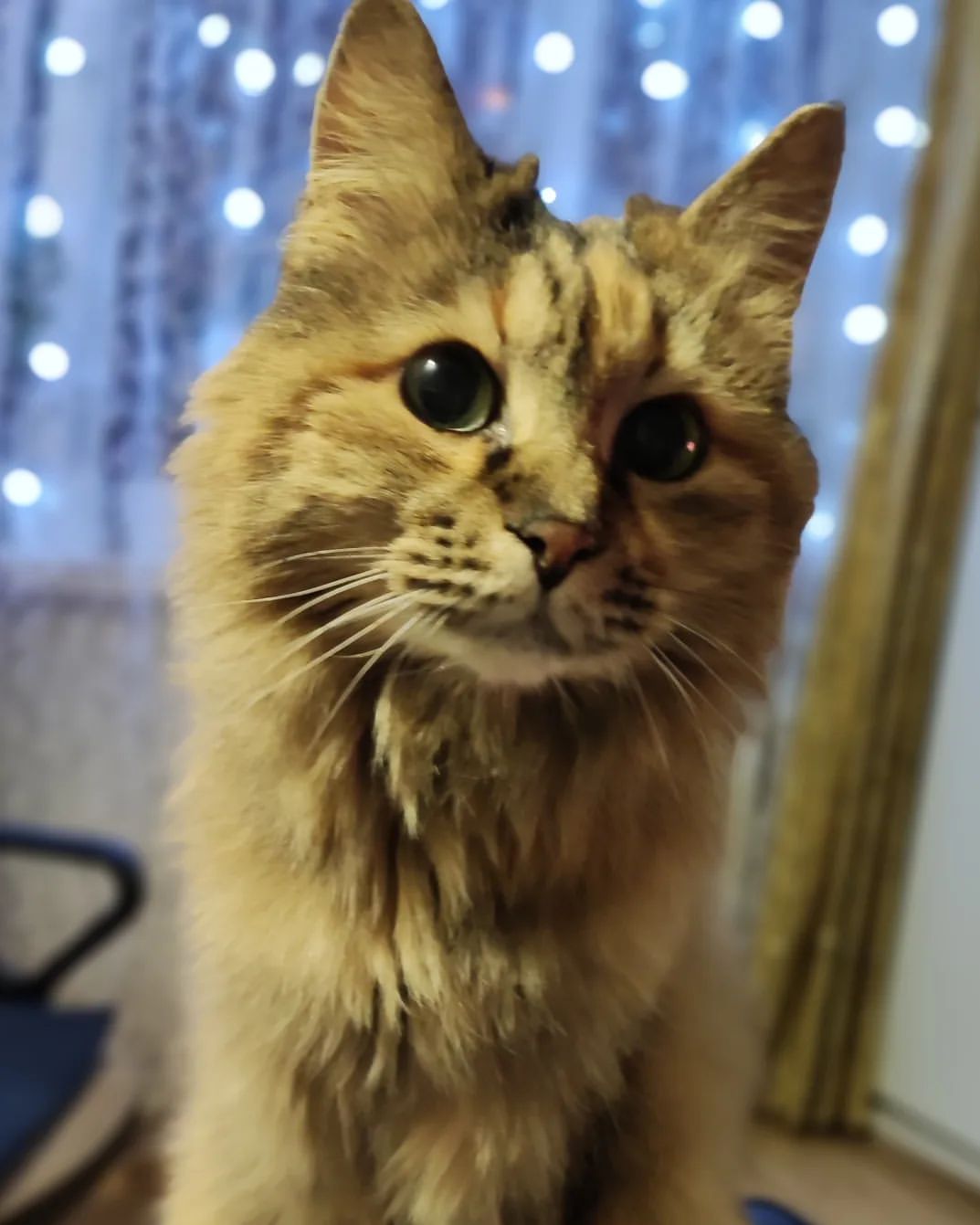 gg_arishka89 в LOOKY — фото 3