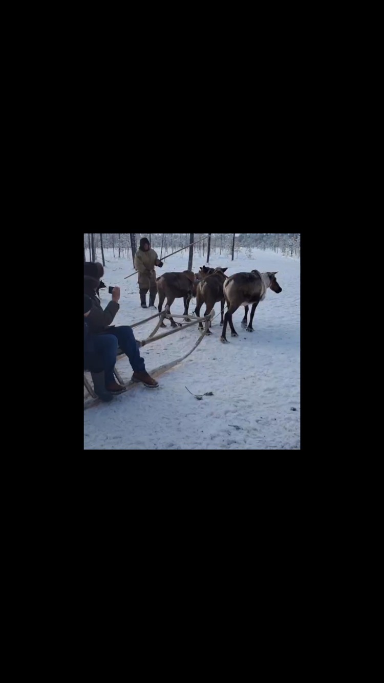 dimyen в LOOKY. . null