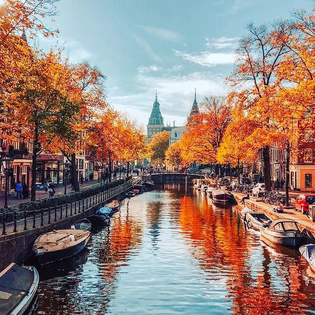 Monsters official в LOOKY. #photooftheday,#photographylovers,#landscapephotography,#landscape,#autumnvibes🍁,#autumn. See rejection as a r...