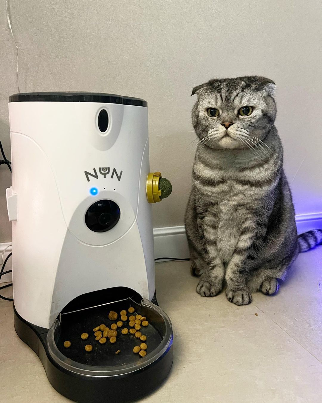 famousniki in LOOKY. #котики,#кошачьямята,#мятныйшарик,#famousniki,#когдатыкот,#кошачьяжизнь. Меня многие спрашива...