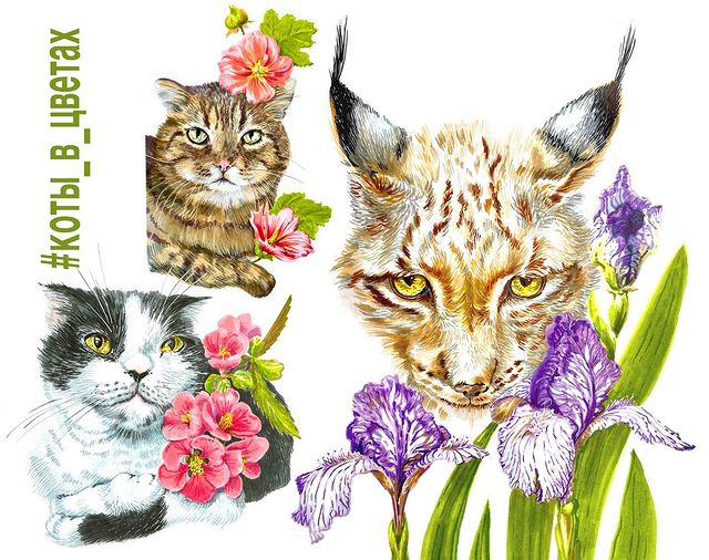 elizaveta_dvoynykh в LOOKY. #коты_в_цветах_итог,#спиртовыемаркеры,#иллюстрациямаркерами,#анималистика. Марафон #коты_в_цвет...