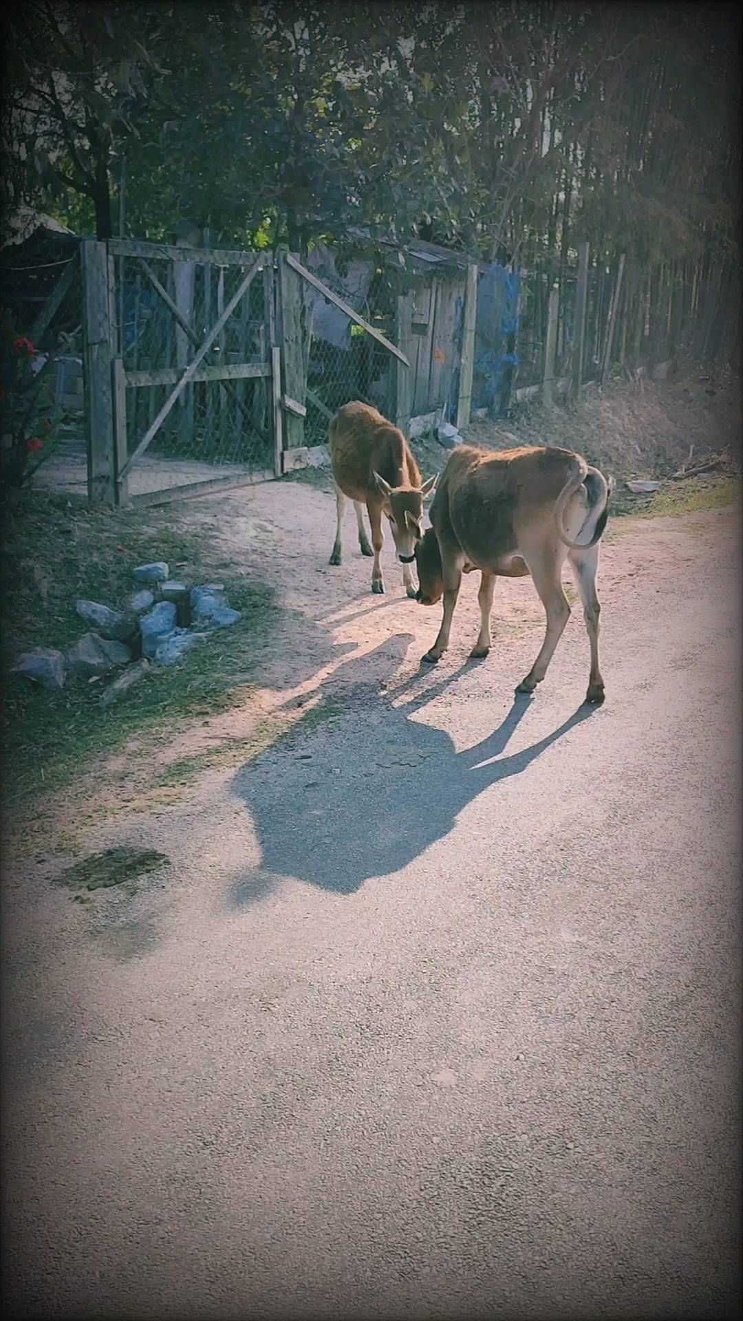 BorodaVLG в LOOKY. . Когда не ты один люб...
