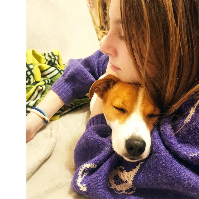 jessi_e_jackrussell в LOOKY. #джекионитакие🐕,#джекрасселтерьер,#джекрассел. В объятиях моей хозя...