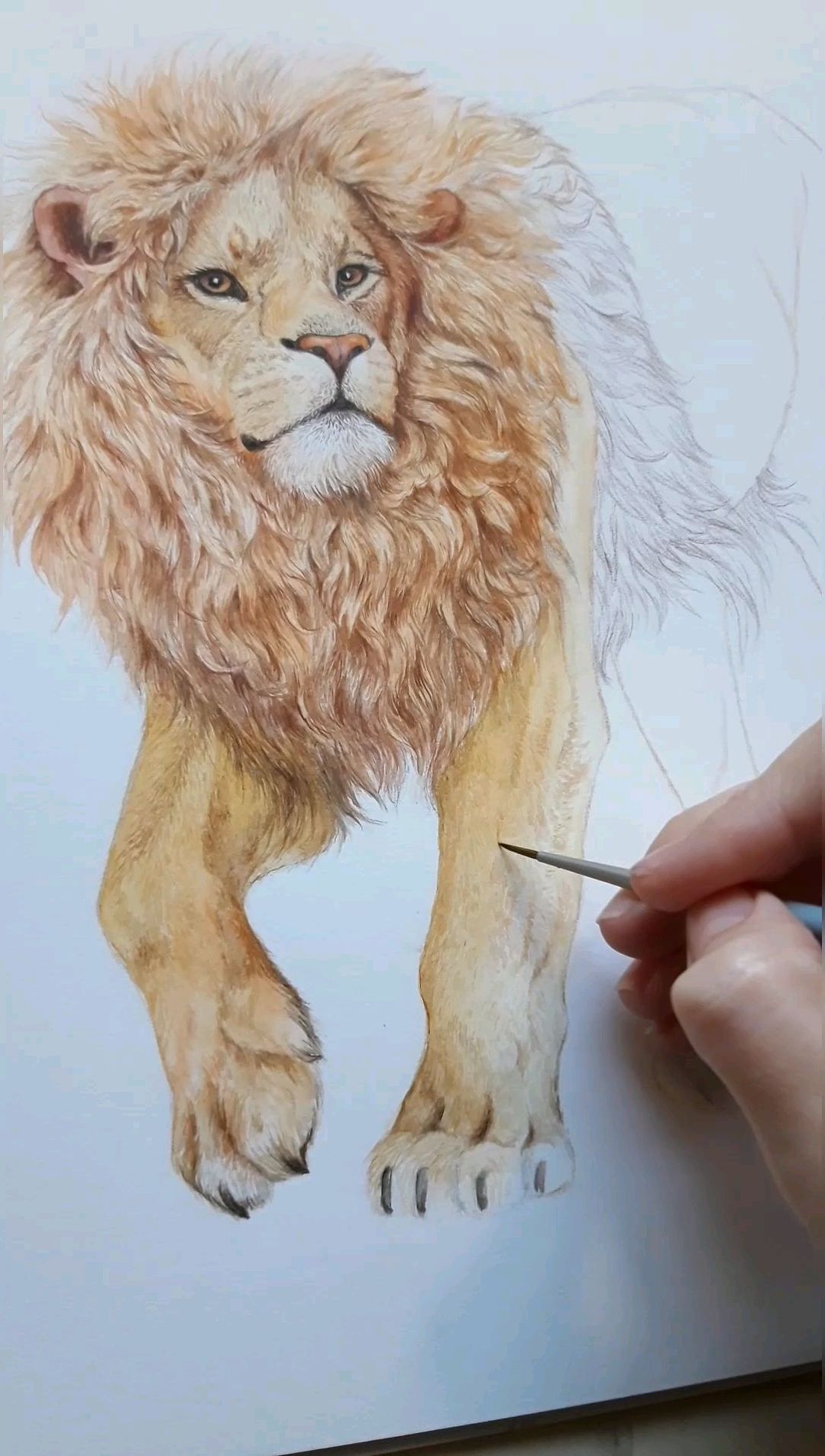 helenalynx в LOOKY. #животныеакварелью,#watercoloranimals,#naturedrawing. Очередная порция мое...
