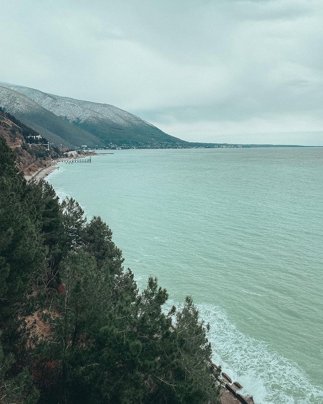 tyutlin в LOOKY. . null