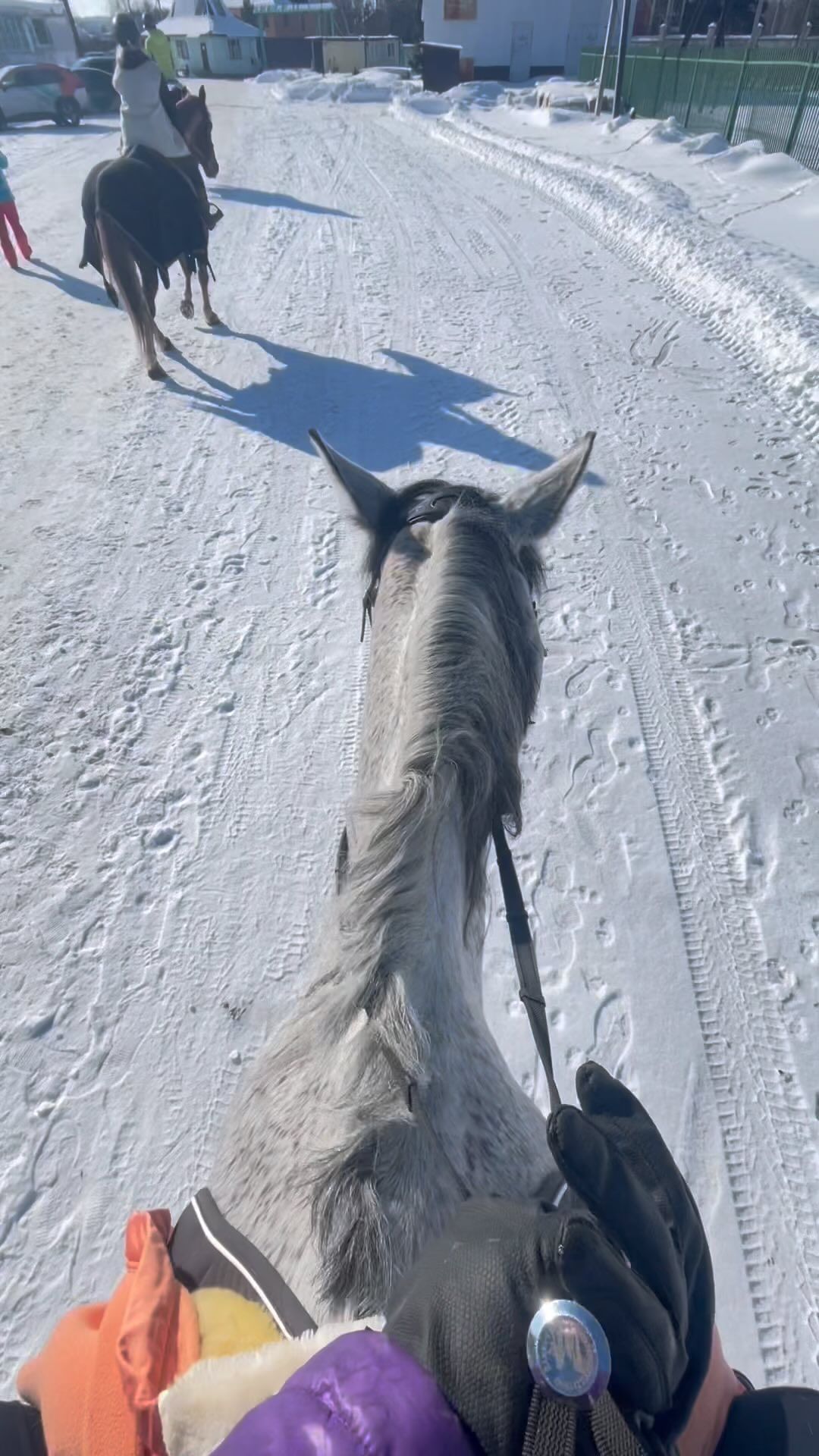 lizaveta__unicorn в LOOKY. #spring,#кскшарапово,#лошади,#horse. Меньше 4 часов до ве...