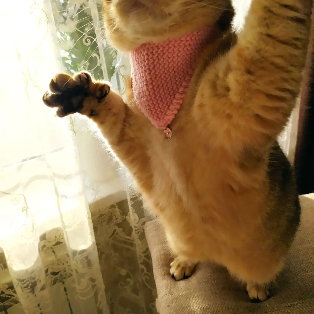 svet_is_life в LOOKY — фото 9