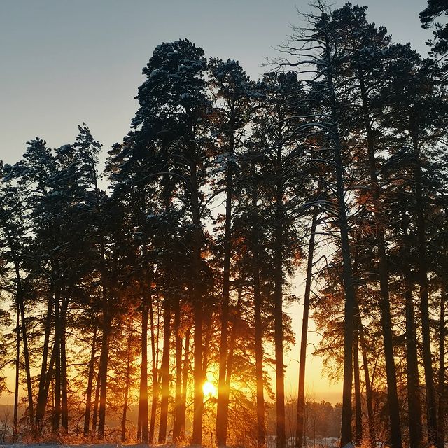 ksa.ndra в LOOKY. . Утро в родном городе...