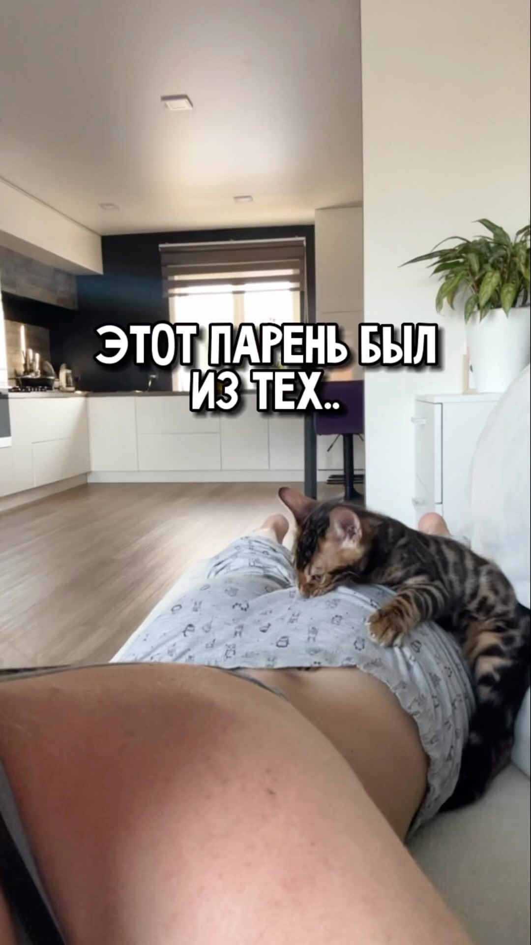 gryzinenko в LOOKY. #кот,#бенгал,#cat,#bengal. С Днем котиков, друз...