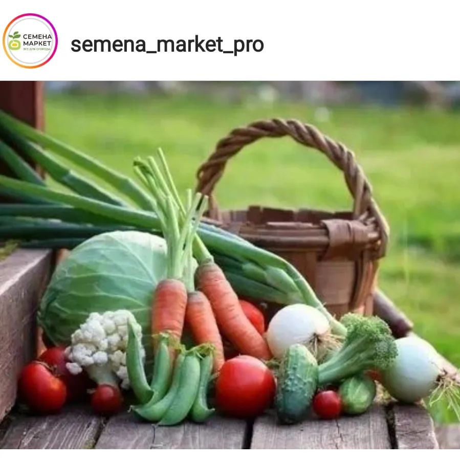 @semena_market_pro