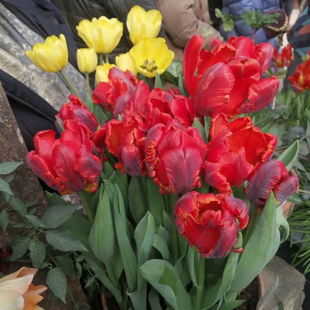 svetyk_nw в LOOKY. . ВЕСНА 🌺🌸🌷

Моё лю...
