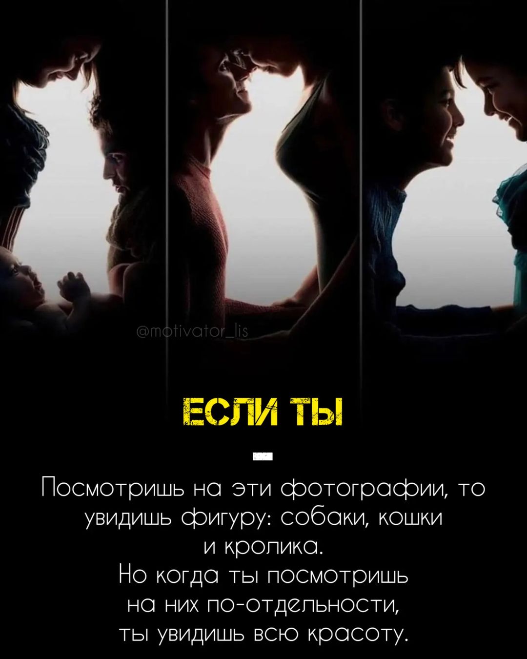 Становись лучше каждый день 🔥🔥🔥

•
•
@motivator_lis
•
•

#мотивация #мотиватор #мотивашка #лис #мотивациялис #улучшениесебя #дисциплина #книги #цитаты #цитатыдня #несдавайся #твойпуть #успех #саморазвитие #семья #илюзия #фото