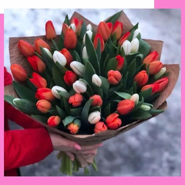 pinktulip_lipetsk в LOOKY. #flowers,#flower,#flowerstagram,#flowersofinstagram,#flowerslovers,#flowerstyles_gf,#instaflower,#beautiful,#букеты,#цветыбезповода,#цветыназаказ,#цветылипецк,#тюльпанылипецк,#цветына8марта,#цветыдоставка,#lipetsk,#tulips,#тюльпанына8марта,#цветысдоставкой,#подарки. Успей заказать букет...
