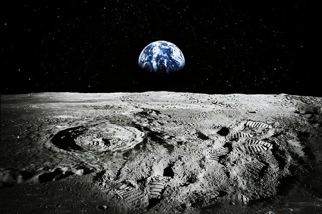 Billy Rex в LOOKY. . Hi, Earth! :)