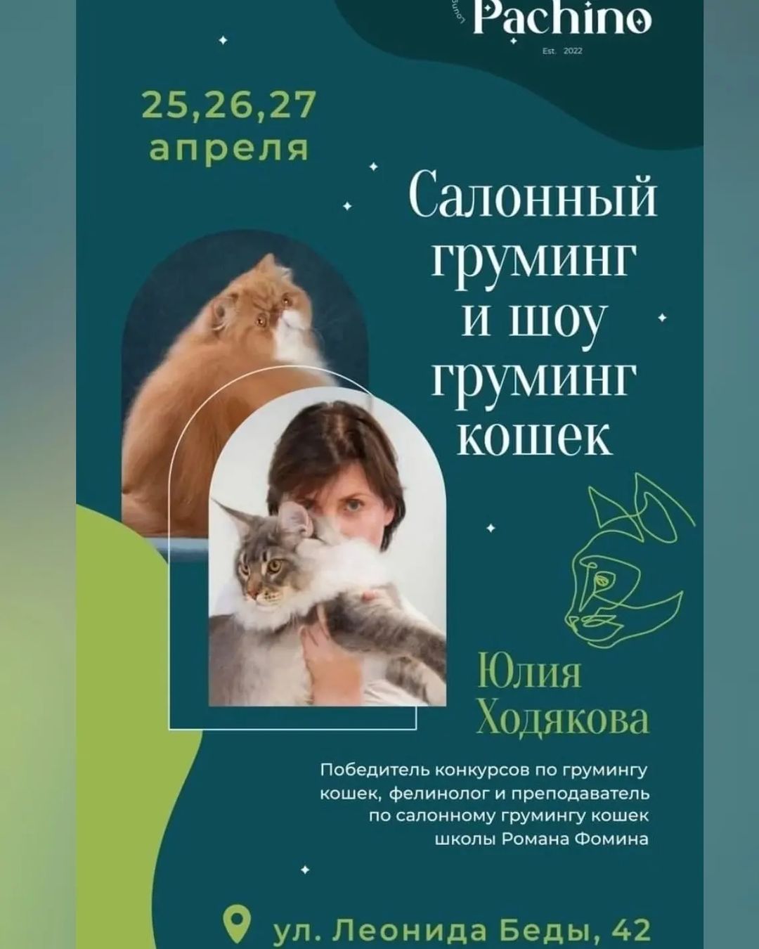 mycatgrooming in LOOKY. #кошачийгрумер,#грумингкошек,#обучениегрумингу,#обучениегрумингукошек,#мастеркласс,#минск,#грумингкошекминск. В самом конце апреля...