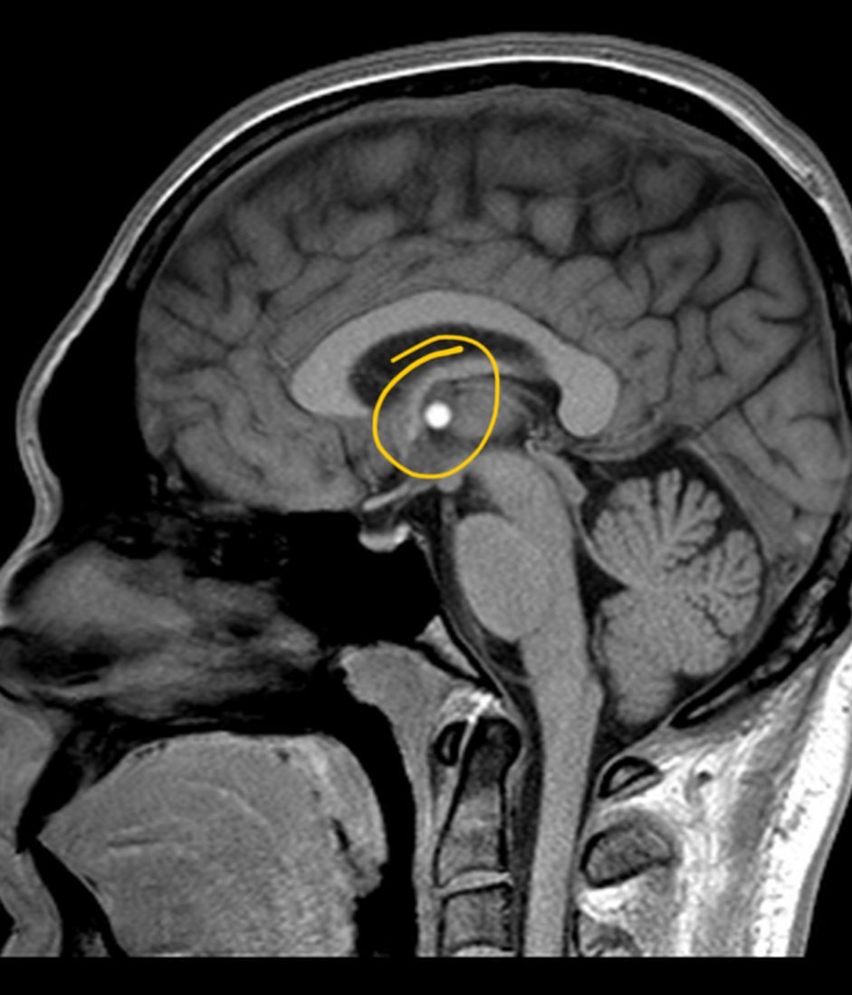 russianradiology в LOOKY — фото 2