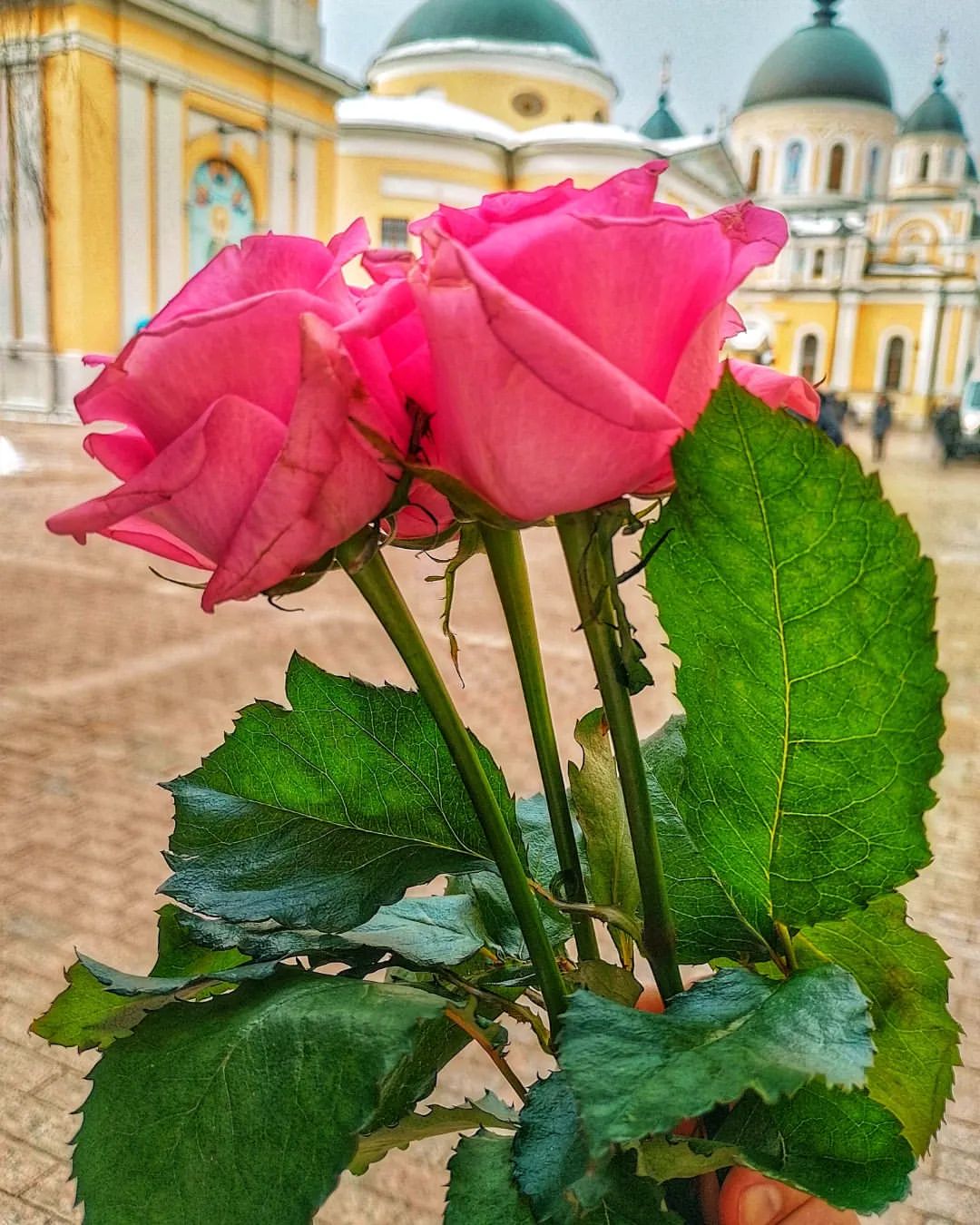 tanka_alex в LOOKY — фото 4