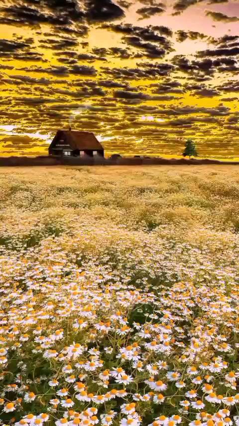safarovvv._l7 в LOOKY. . 🥀😒😔🫀🥀😒😔🫀❌❌❌❌...