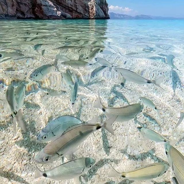 temu_choopnina в LOOKY. #beach,#sun,#nature,#water,#TFLers,#ocean,#lake,#instagood,#photooftheday,#beautiful,#sky,#clouds,#cloudporn,#fun,#pretty,#sand,#reflection,#amazing,#beauty,#shore,#waterfoam,#seashore,#waves,#wave. 💆💆💆🤩🤩🤩✨✨✨.🐟🐟...