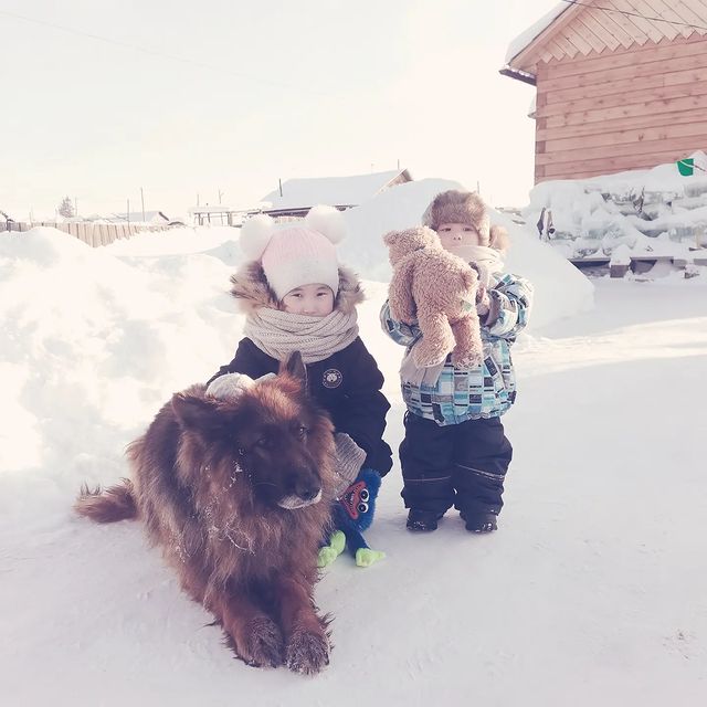 algysmix в LOOKY. . null