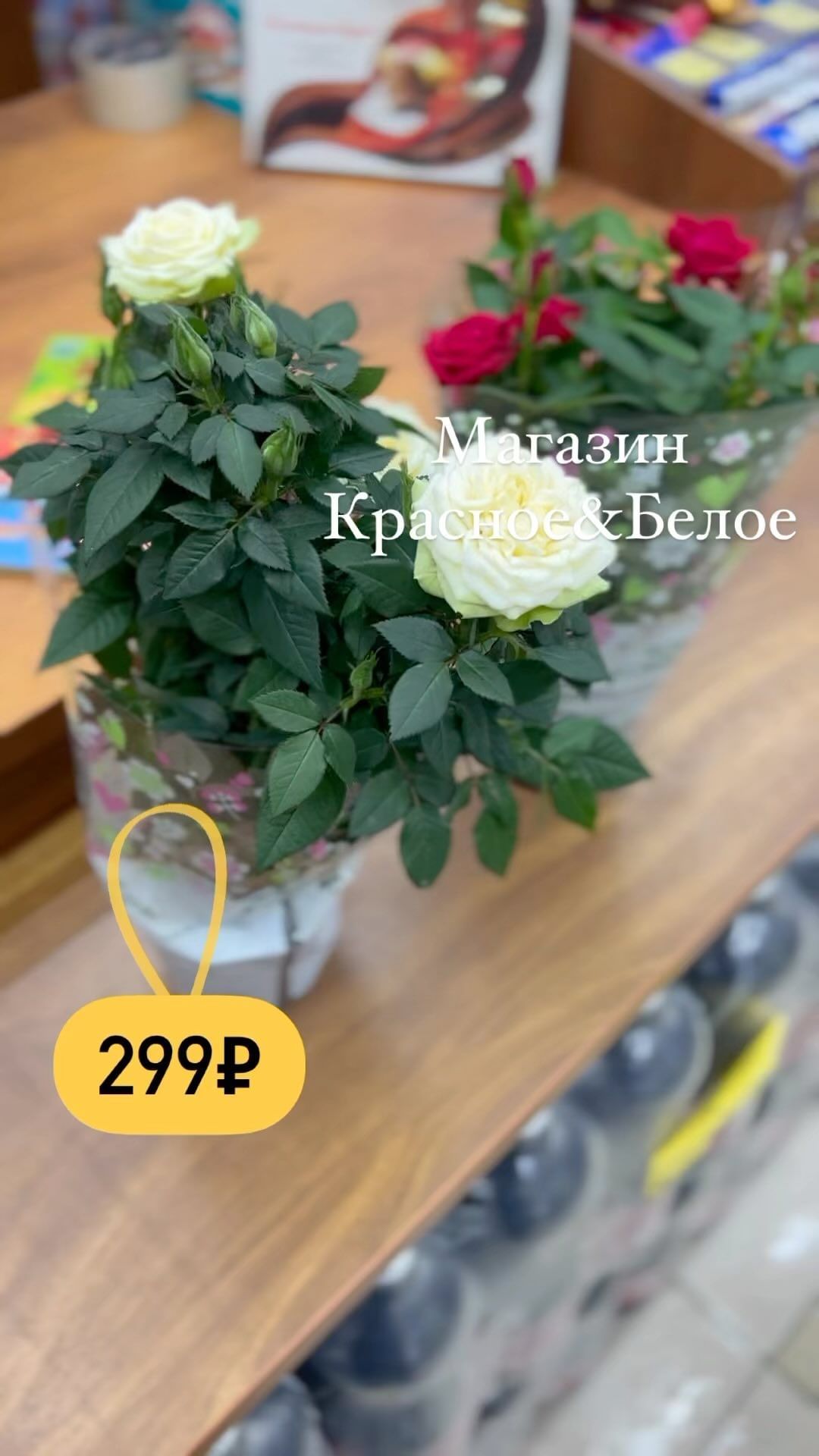 skidkamam в LOOKY. . Актуально к 8 марта ...