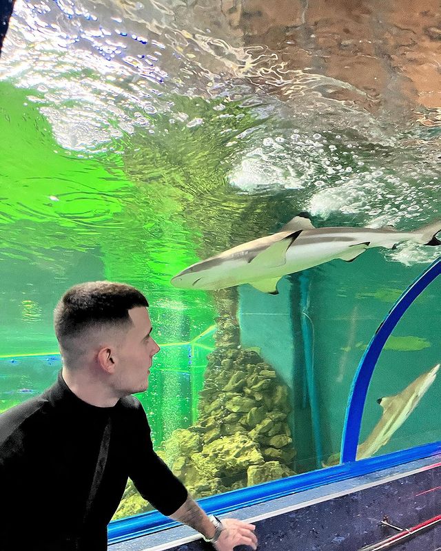 __dmitry_797 в LOOKY. #oceanpark🦈🐠. #oceanpark🦈🐠