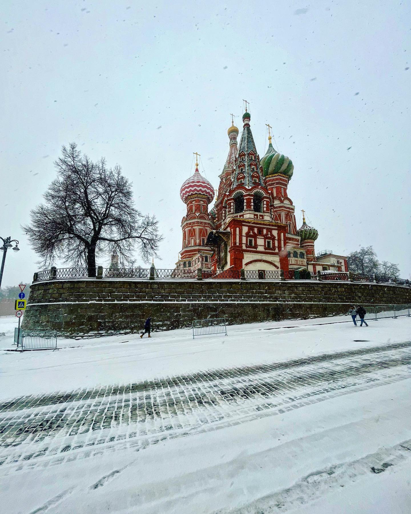 darianikolaeva115 в LOOKY — фото 8