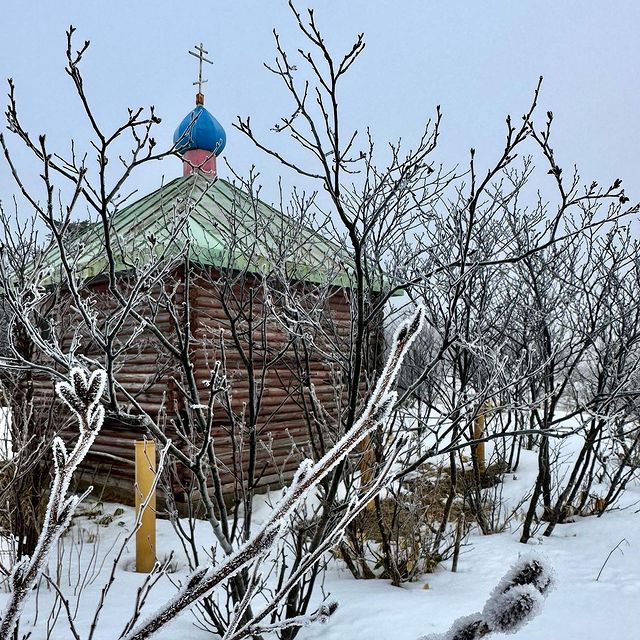 pershinaoksana в LOOKY. #кунашир,#иней,#такаявесна. Туманное морозное ут...