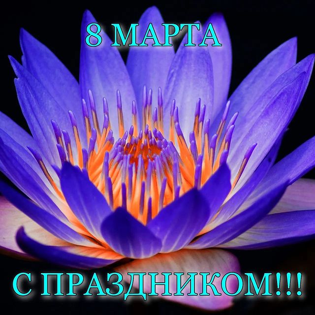 pochtalioncom в LOOKY. #8марта,#подарок,#подарки,#деньрождения,#цветы,#23февраля,#14февраля,#праздник,#розы,#подарокна8марта,#hediyyeler,#платье,#1сентября,#москва,#подарокмужу,#подарокмаме,#подарокжене,#свадьба,#весна2020. С праздником дорогие...