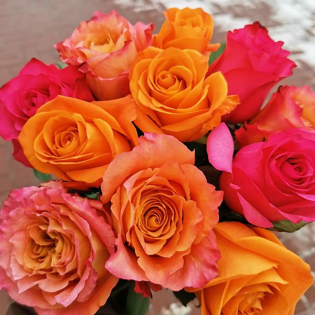 my_own_impressions в LOOKY. #8марта. Занимательные факт -...